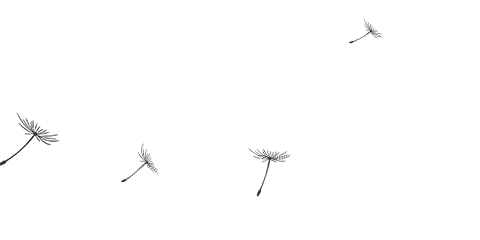 ����ͻ��(�й�)���޹�˾����