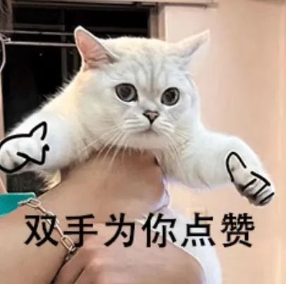 ����ͻ��(�й�)���޹�˾����