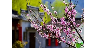 ��������������ͻ�ƾ���һ��չ�ἴδ��Ϯ����׼����������